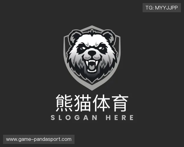 介绍熊猫体育团队